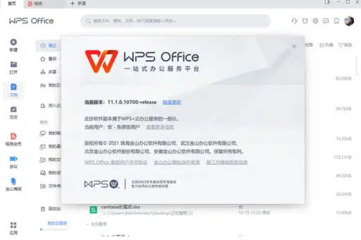 wps 文档是什么内容
