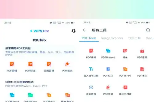 wps 文档是什么格式